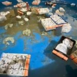 Le Maroc devient le pays le plus industrialisé d’Afrique