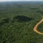 ‎Gabon : Nguema veut réduire les bourses d’études vers l’Europe